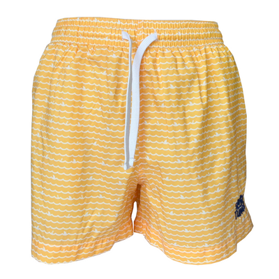 Men's Swim Short - Wave Rider