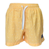 Men's Swim Short - Wave Rider