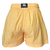 Men's Swim Short - Wave Rider