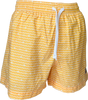 Men's Swim Short - Wave Rider